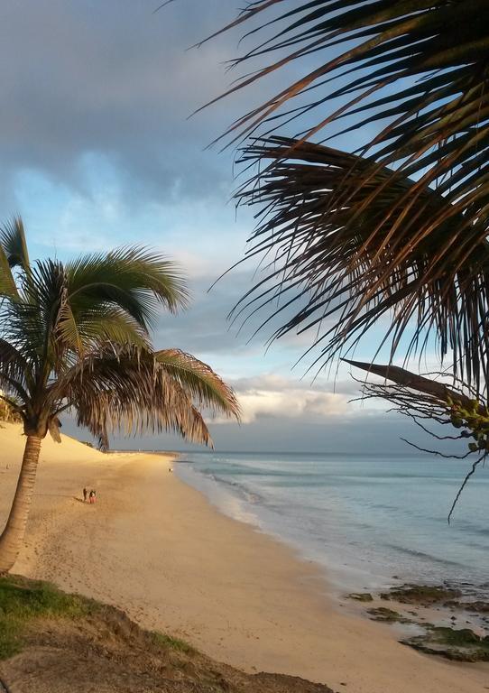 Palm Garden By Livvo Morro Jable (Fuerteventura)