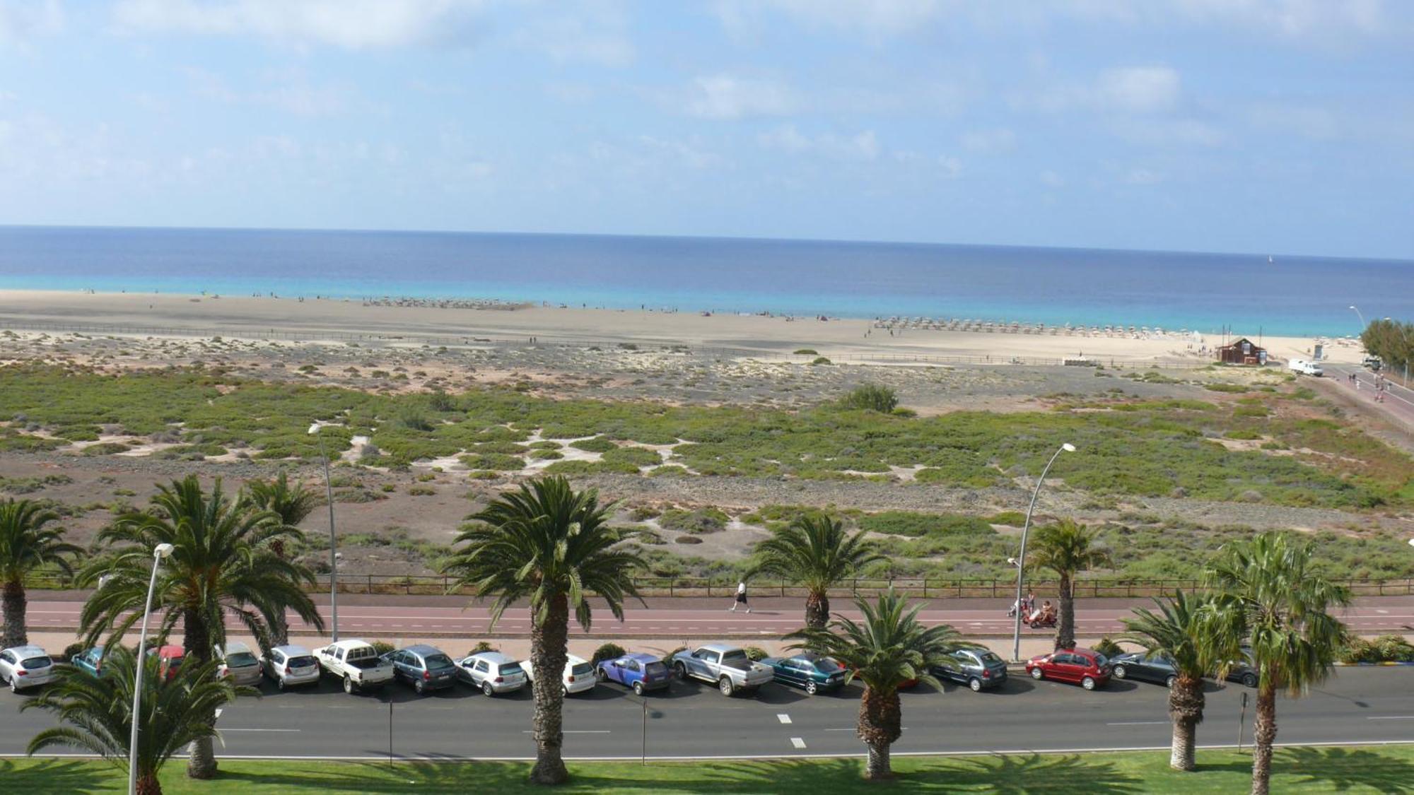 Palm Garden By Livvo Morro Jable